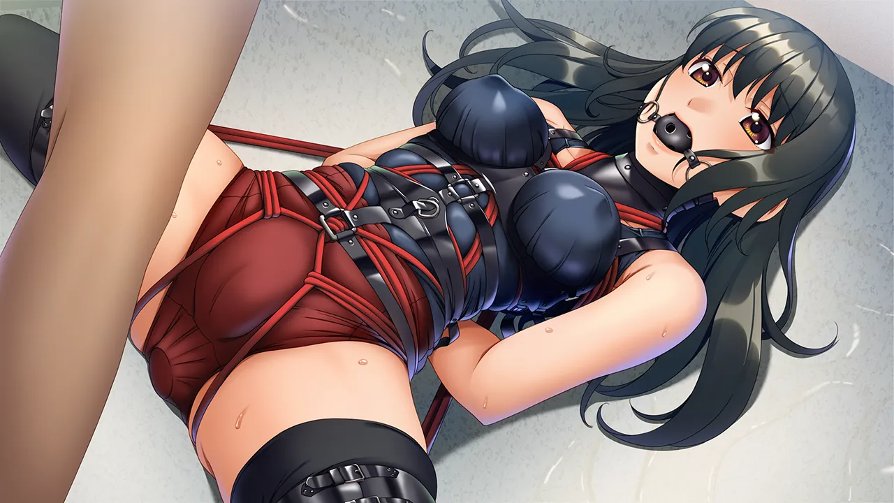 NC20 SKBondage Personal Collection page 5 full