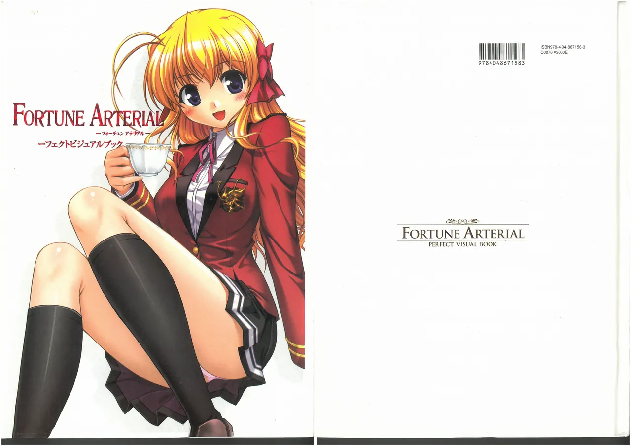FORTUNE ARTERIAL PERFECT VISUAL BOOK page 1 full