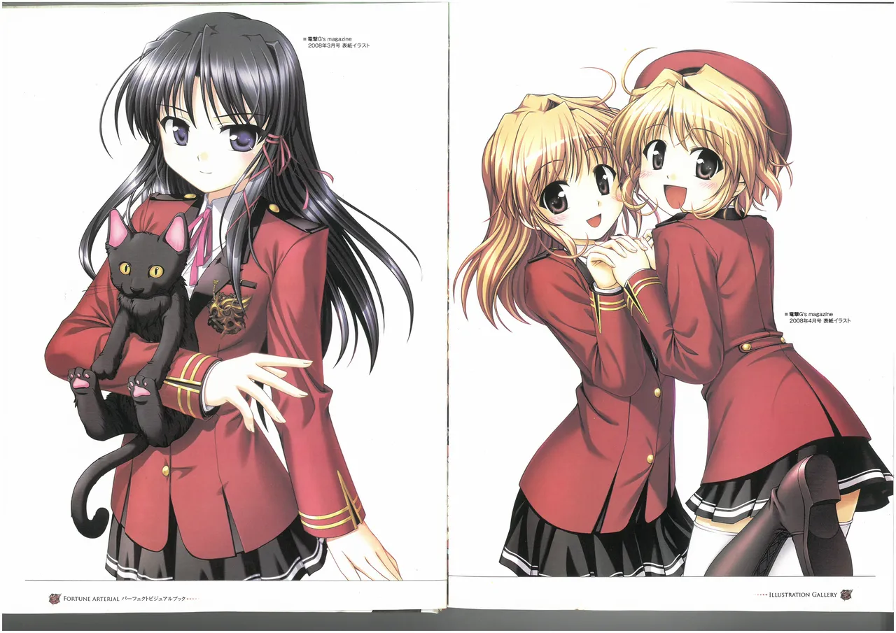 FORTUNE ARTERIAL PERFECT VISUAL BOOK page 6 full