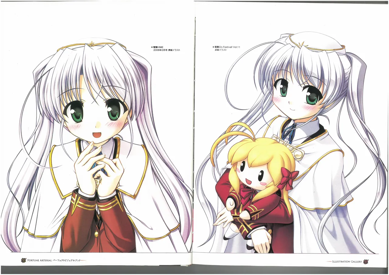 FORTUNE ARTERIAL PERFECT VISUAL BOOK page 8 full