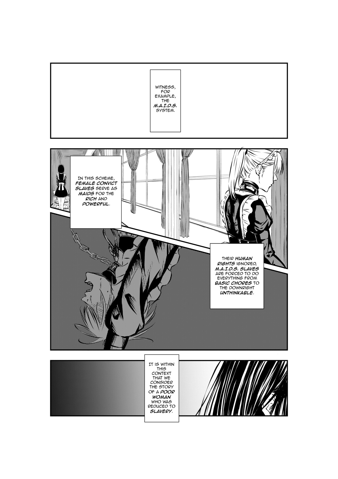 M.A.I.D.S. System page 2 full