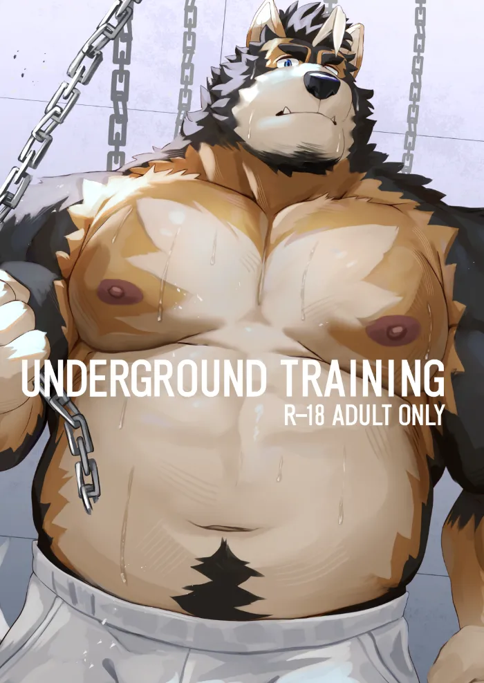 UNDERGROUND TRAINING 金卡个人汉化 page 1 full