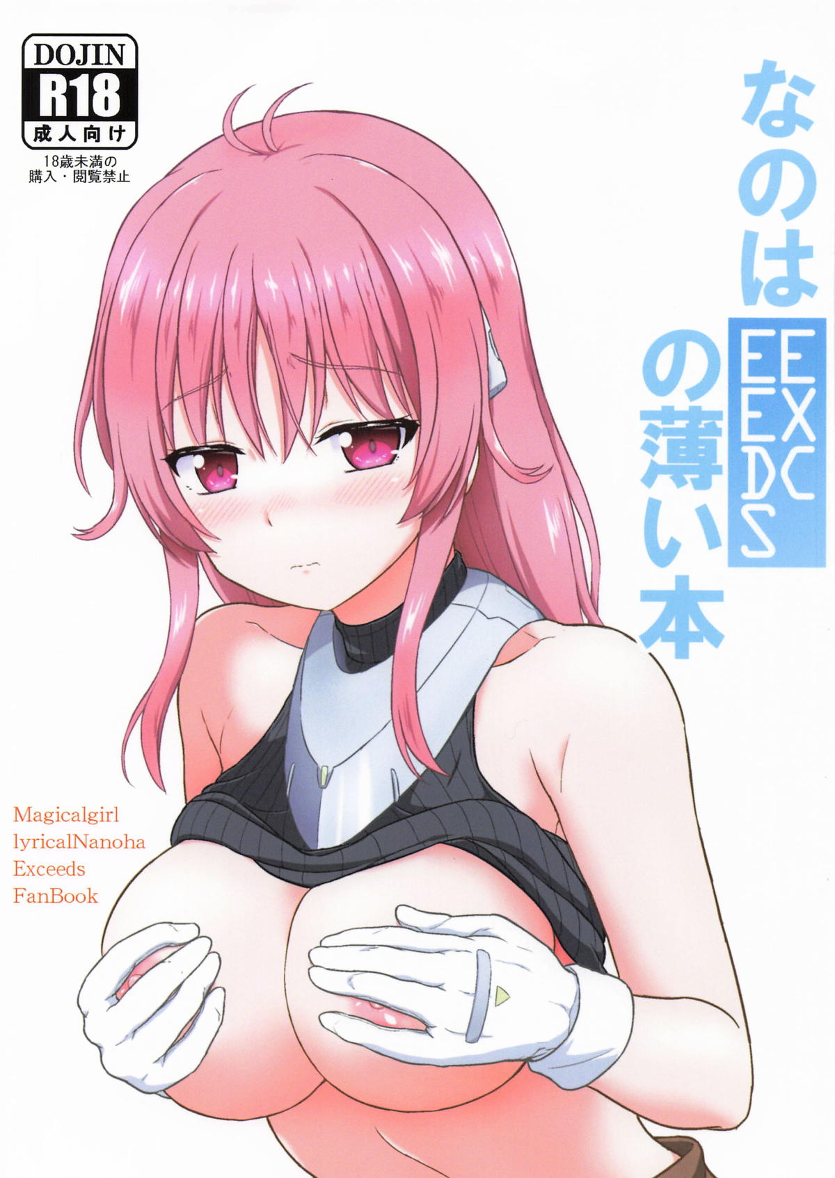 なのはEXCEEDSの薄い本 page 1 full