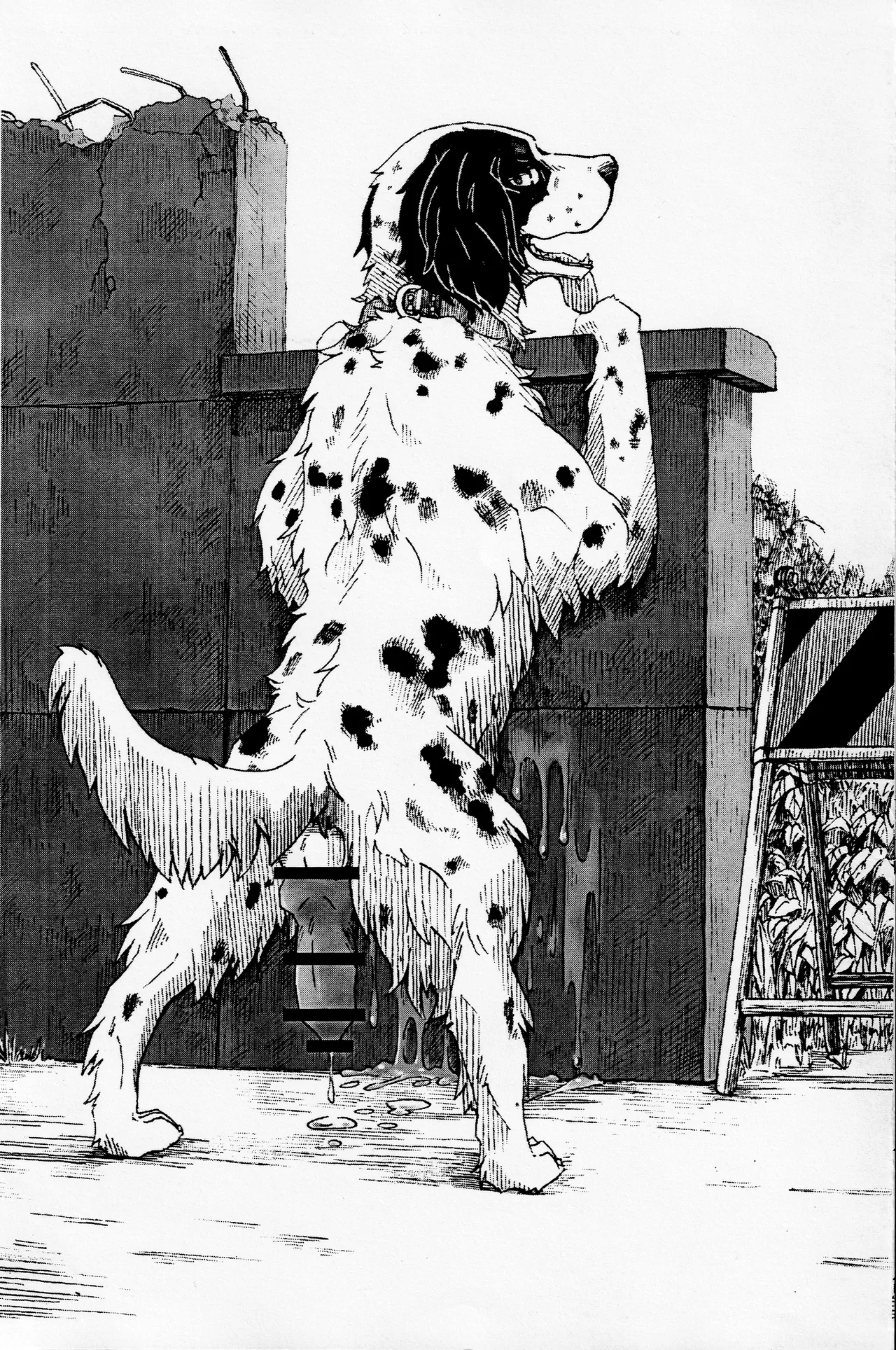 Hotdog AD page 5 full