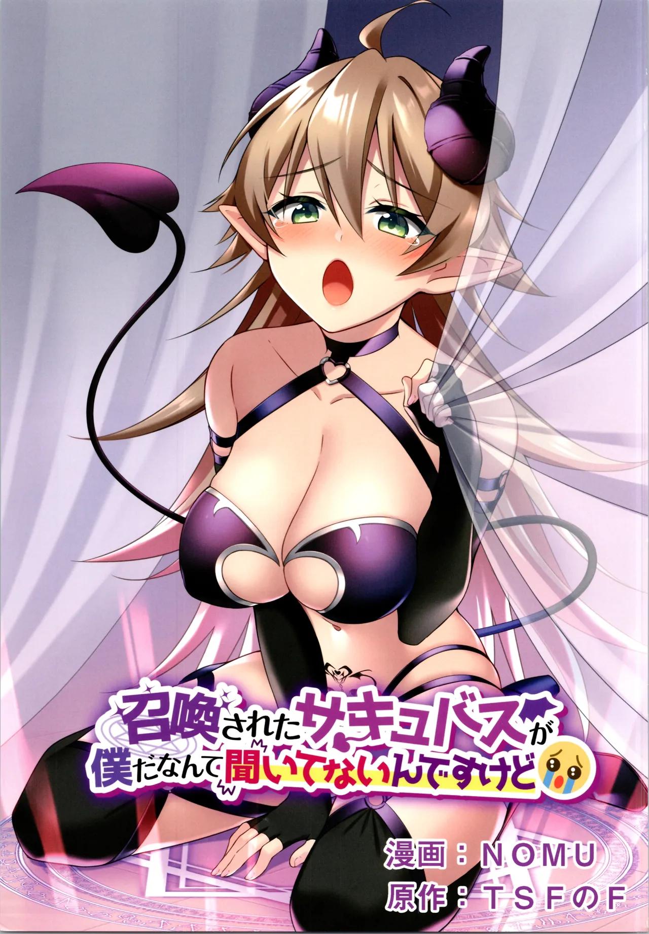 TSF no F no Hon Sono 12 page 3 full