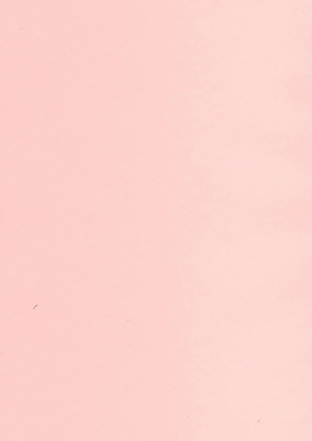 Mousou Note - Delution Notebook page 5 full