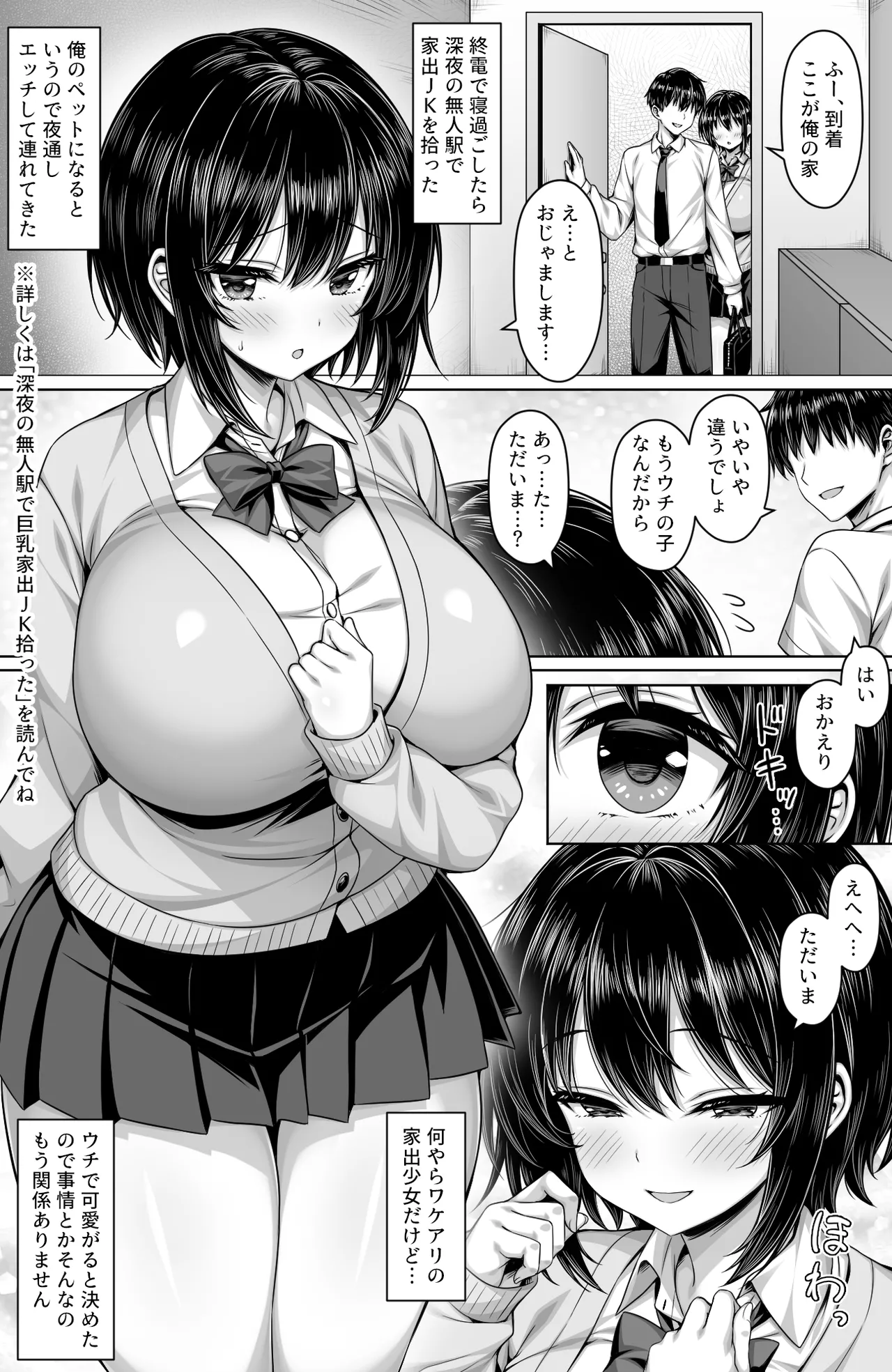 深夜の無人駅で拾った巨乳家出JKの飼い主の日常 page 2 full