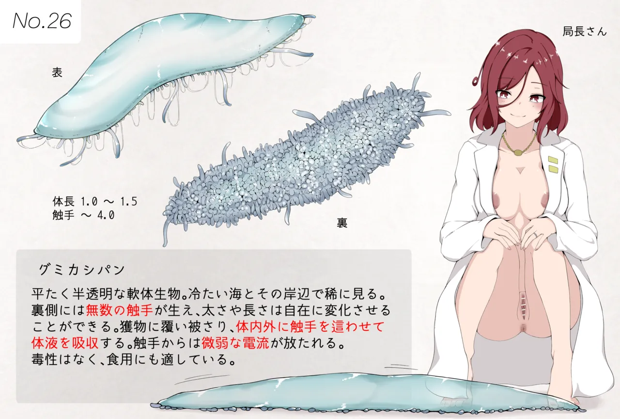 Mushi Research Report No.26 page 1 full