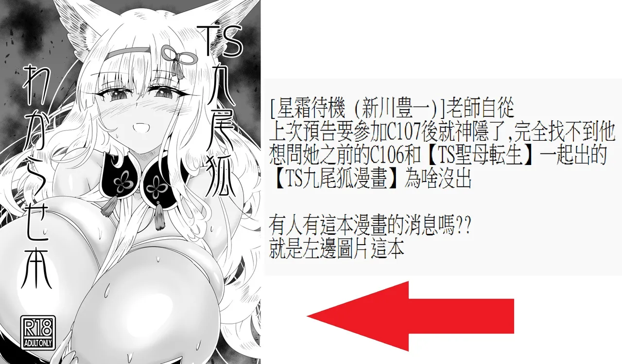 TSFした人妻 前傳 娼館の牝犬 page 3 full