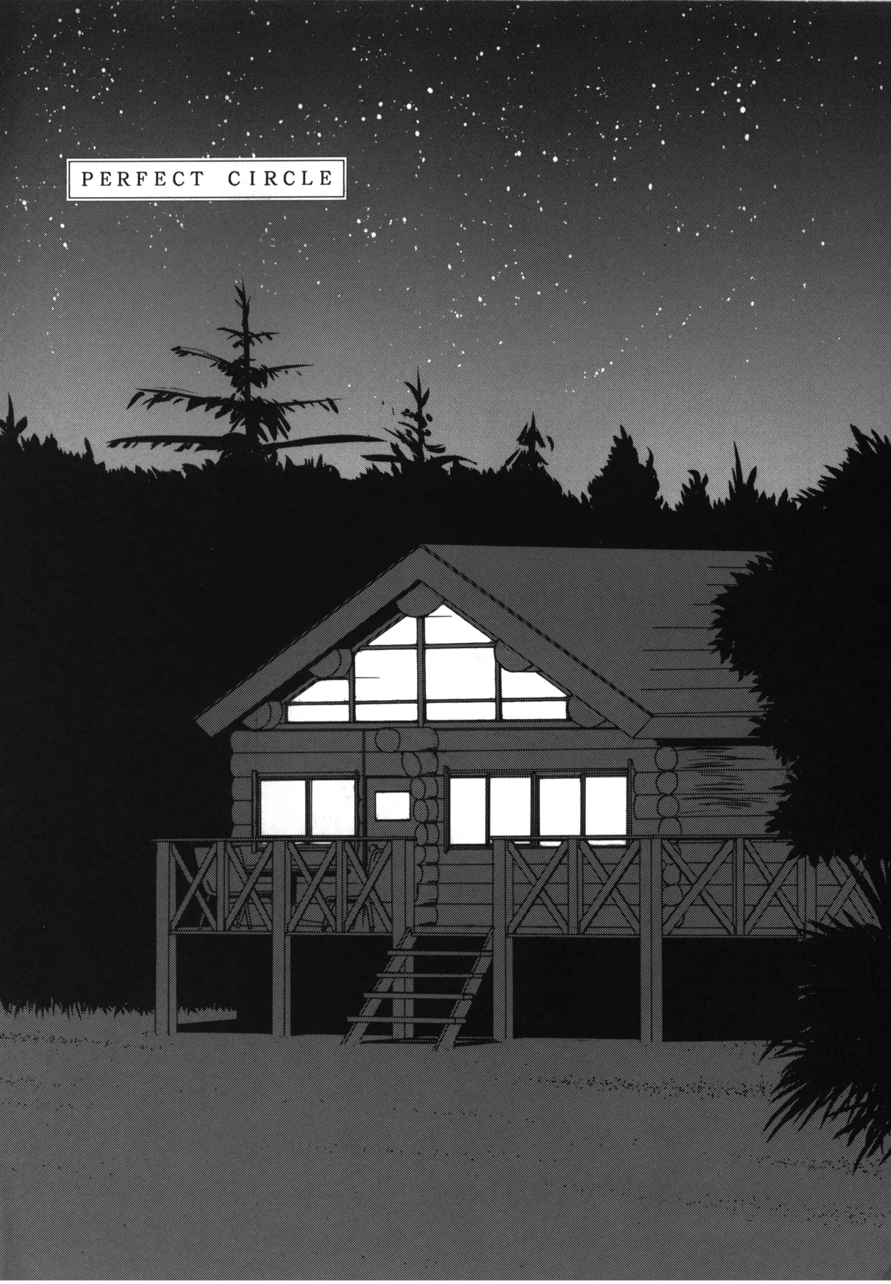 PERFECT CIRCLE page 4 full