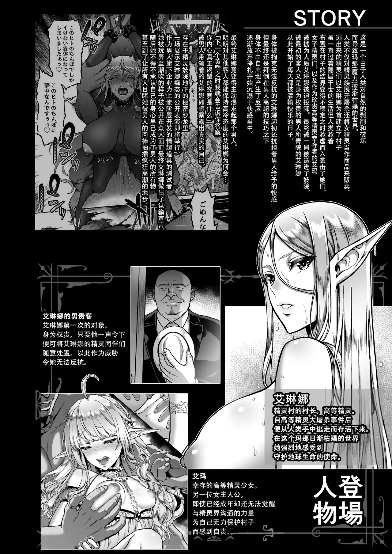 黄昏の娼エルフ9-娼婦にされた気高きハイエルフ5 page 4 full