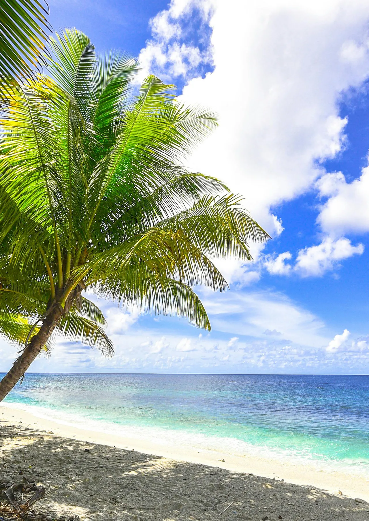 我的妈妈被损友穿上了 24-25 page 1 full