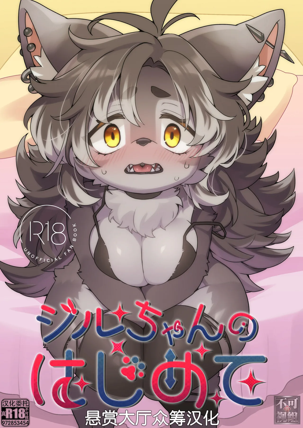 ジルちゃんのはじめて page 1 full