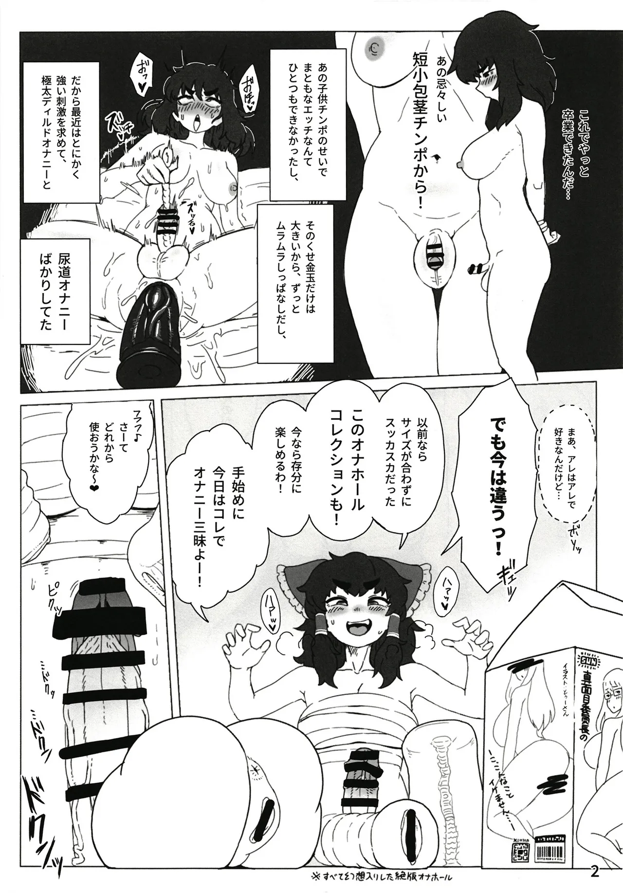 東方ふたなり事変 巫女と妖精、初めての尿道セックス page 4 full