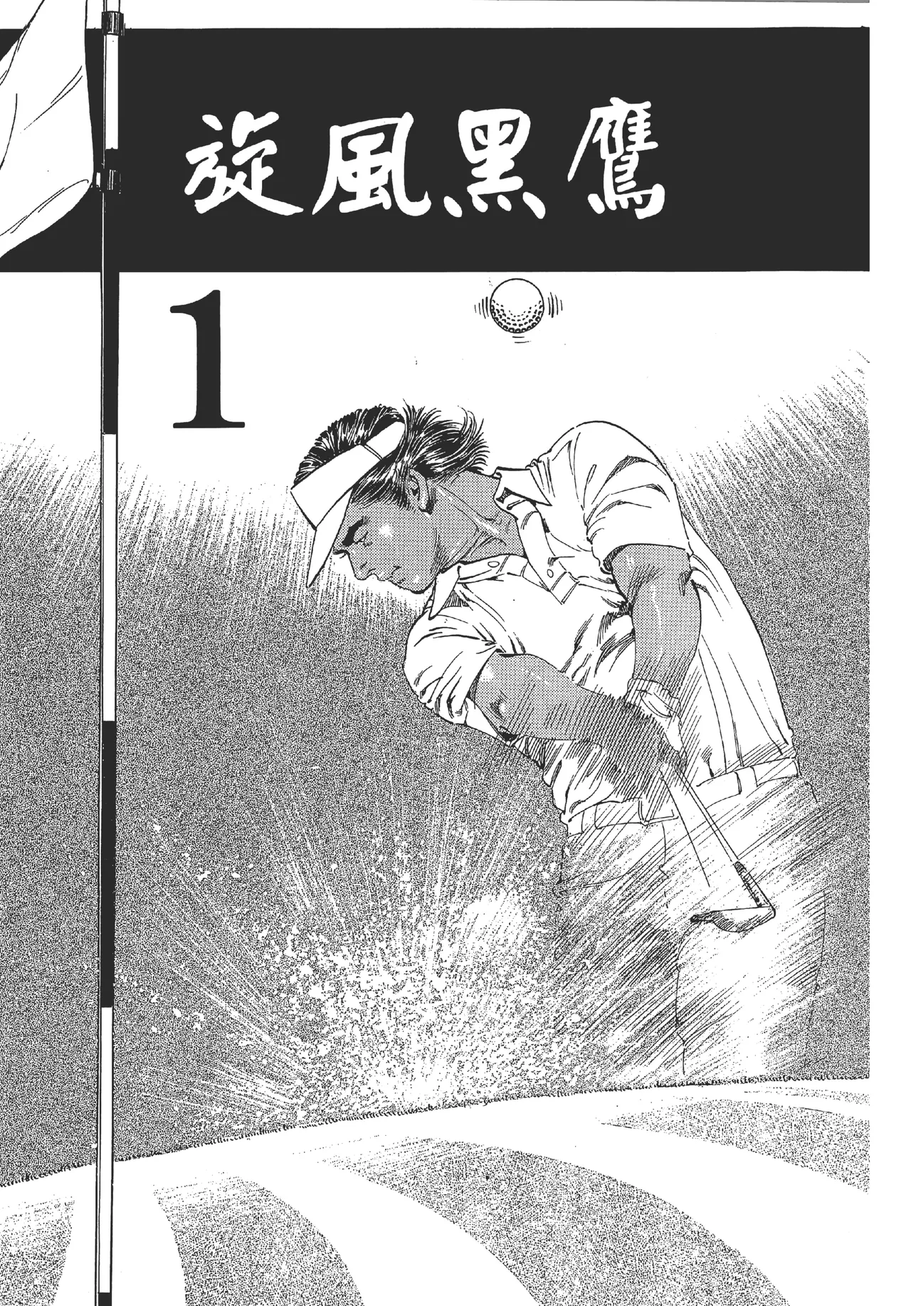 旋风黑鹰 page 3 full