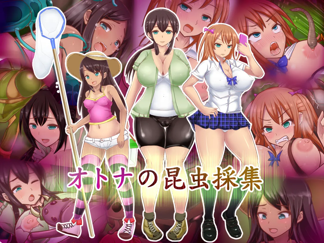 白い天道虫  オトナの昆虫採集 page 1 full