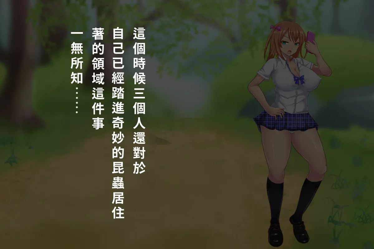 白い天道虫  オトナの昆虫採集 page 9 full