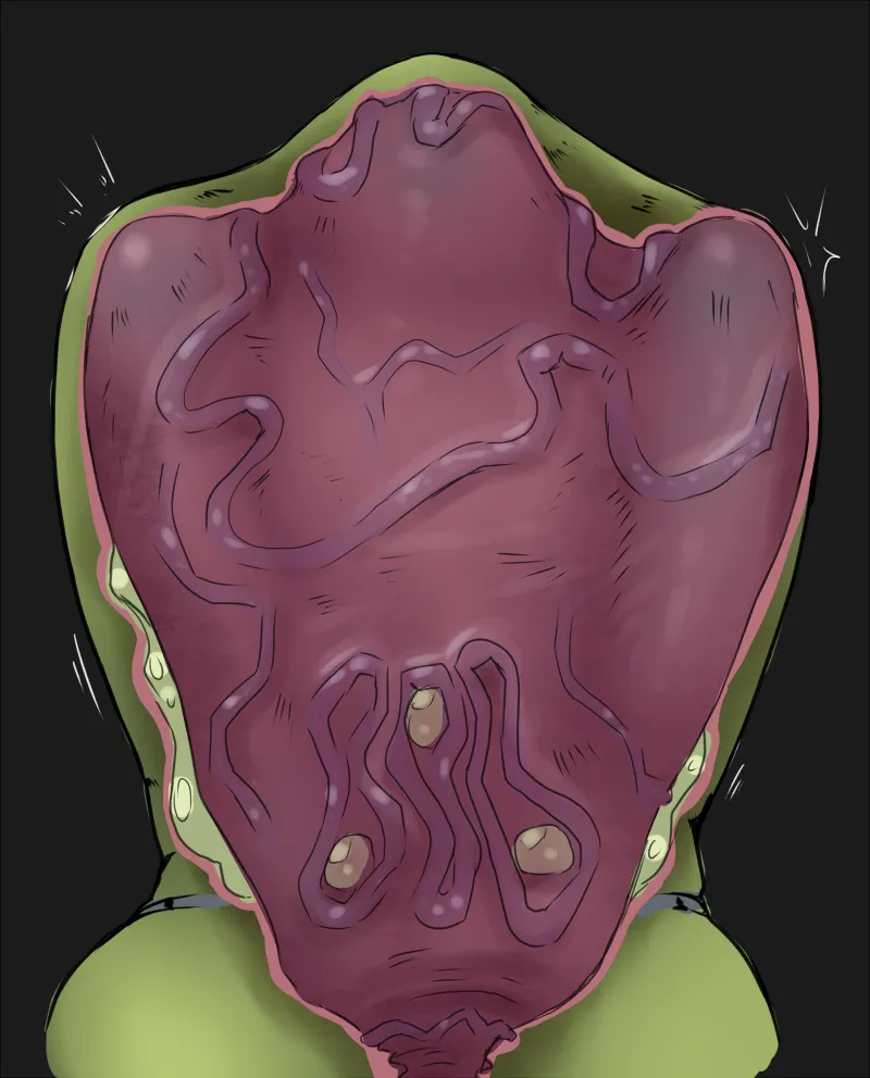 Official Voraciousmoga Archive page 8 full