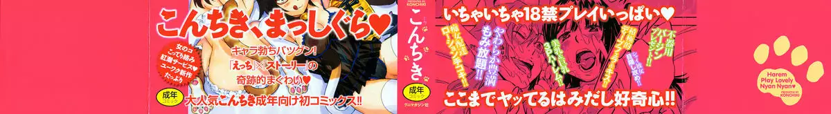 Harem Play Lovely Nyan Nyan page 4 full