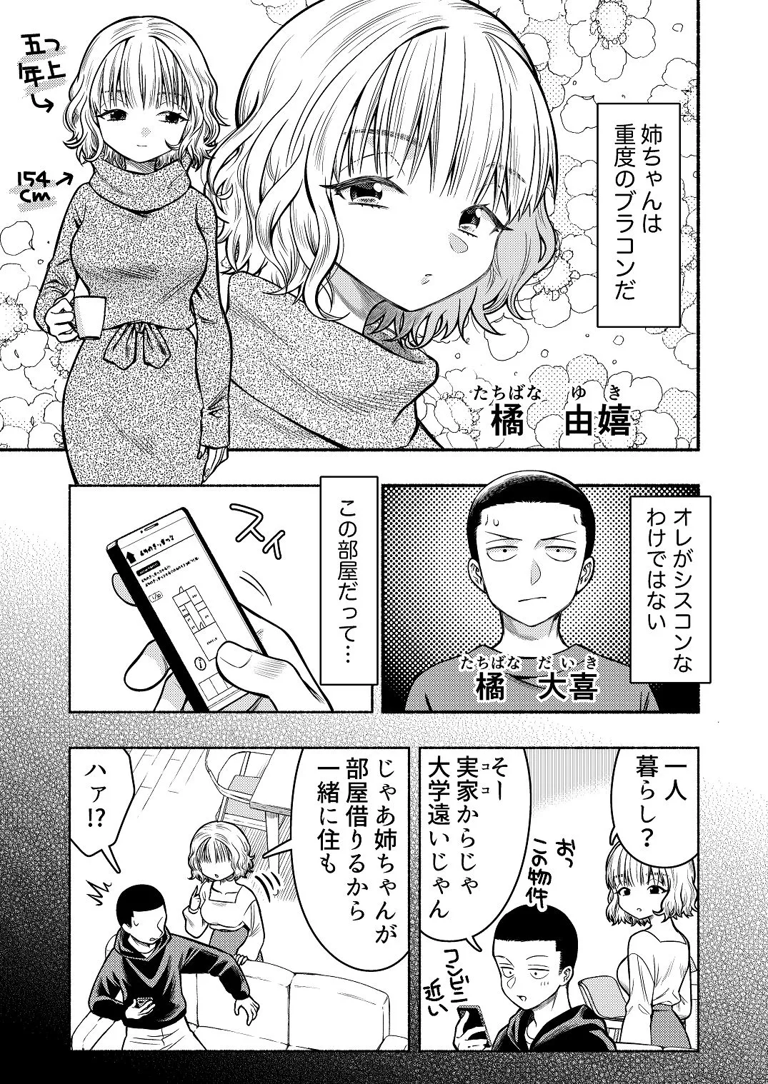 同棲してる姉と弟〜一線を越えた夜〜 page 3 full