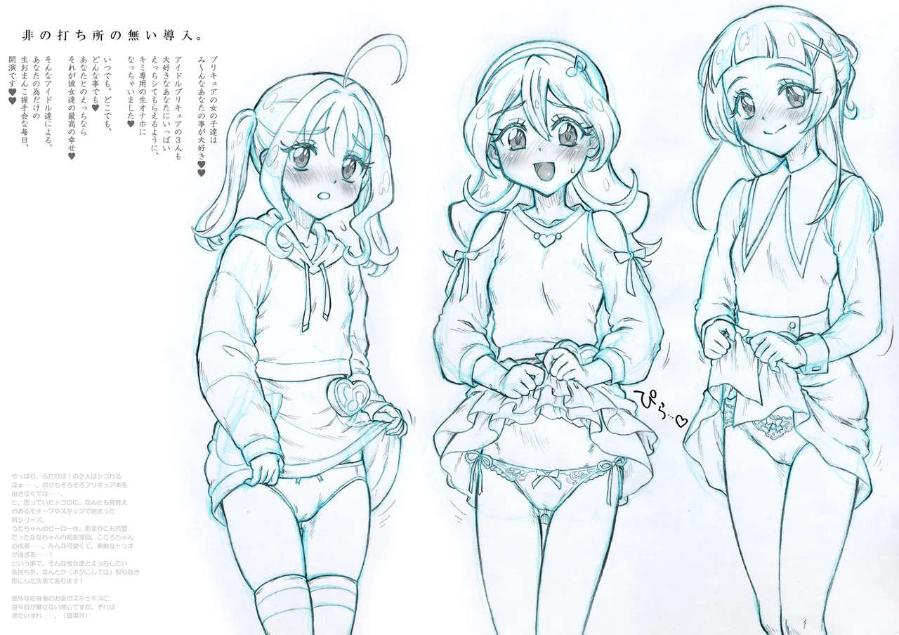 キミ専用 アイドルプリキュア♪ page 3 full