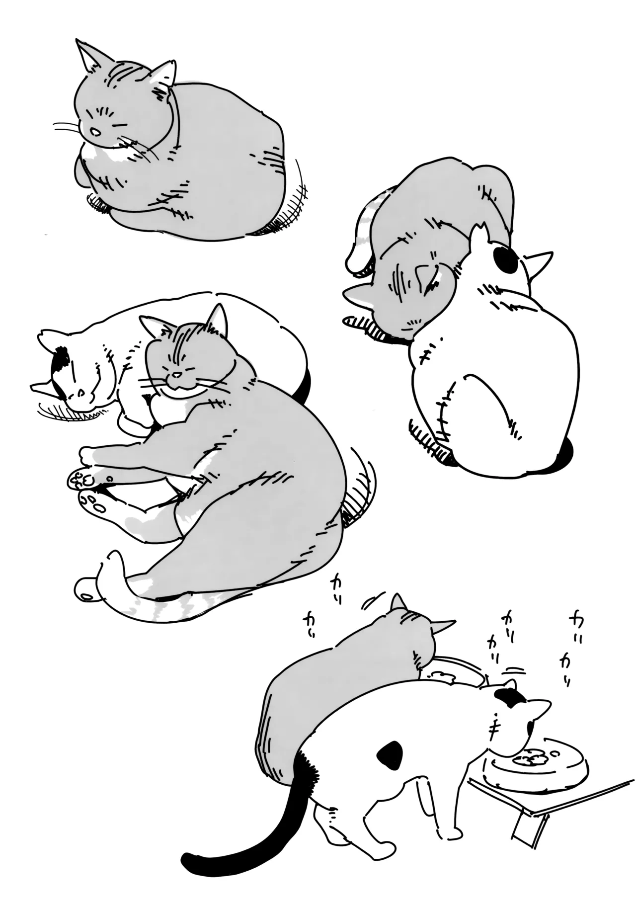 Shimimaru's Diary page 9 full