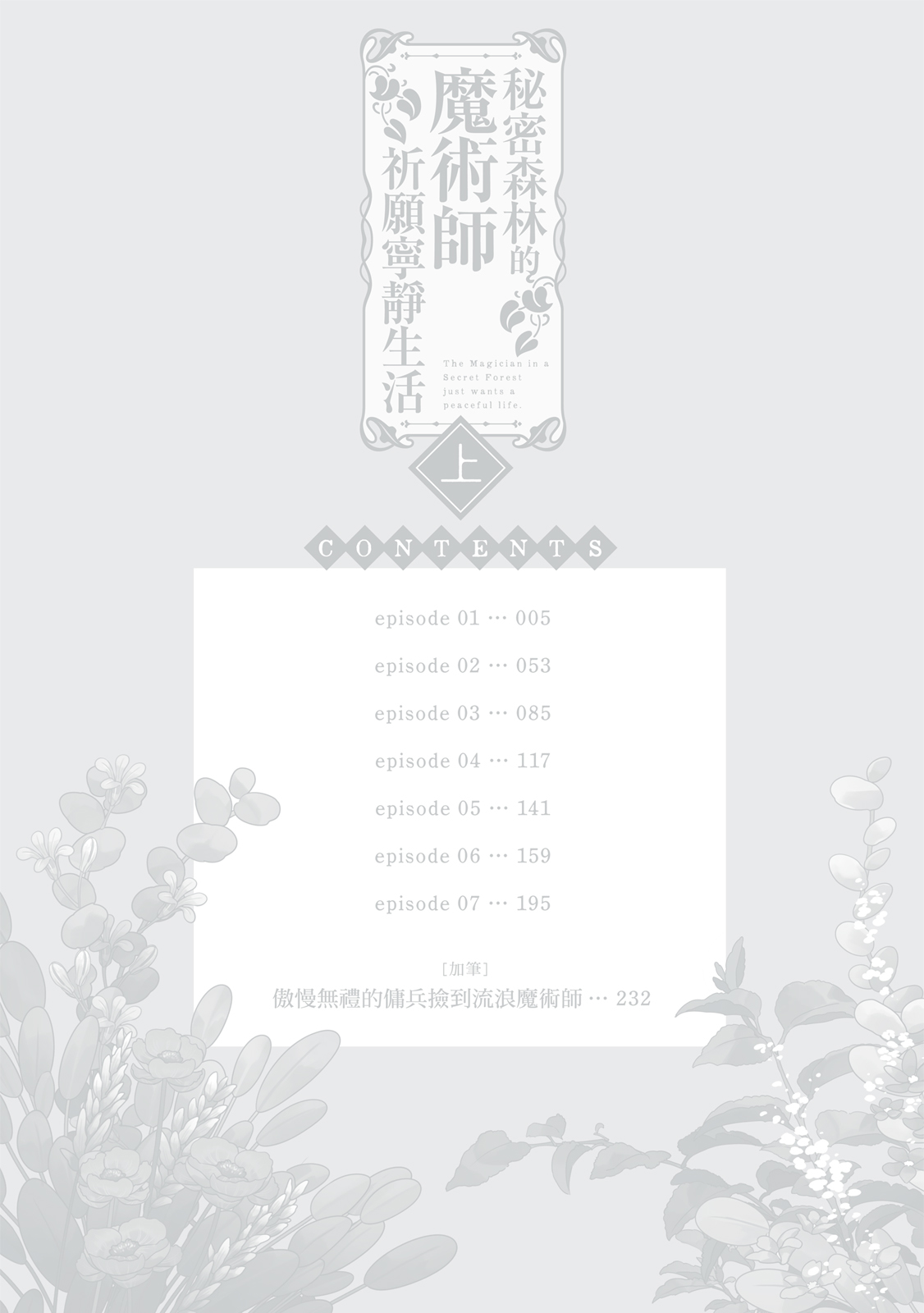 Himitsu no Mori no Majutsushi ha Nodoka wo Negau | 秘密森林的魔術師祈願寧靜生活 page 3 full