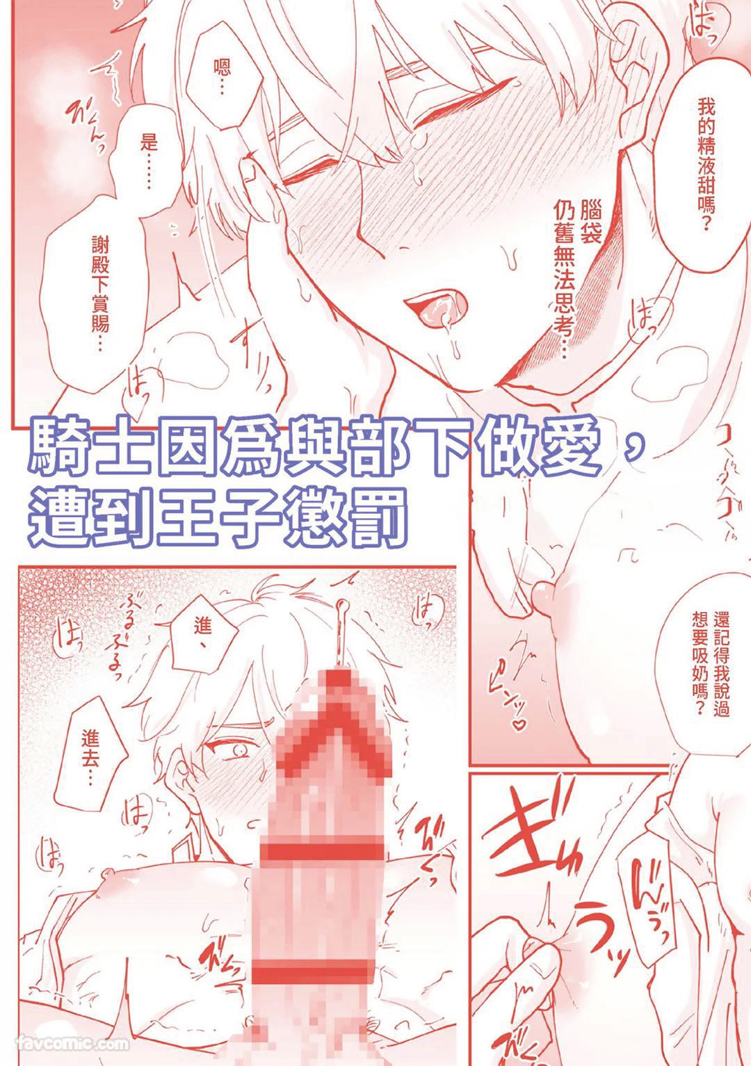 Knight Commander Series  The Knight Commander's Punishment | Kishi Danchou no Choubatsu page 2 full