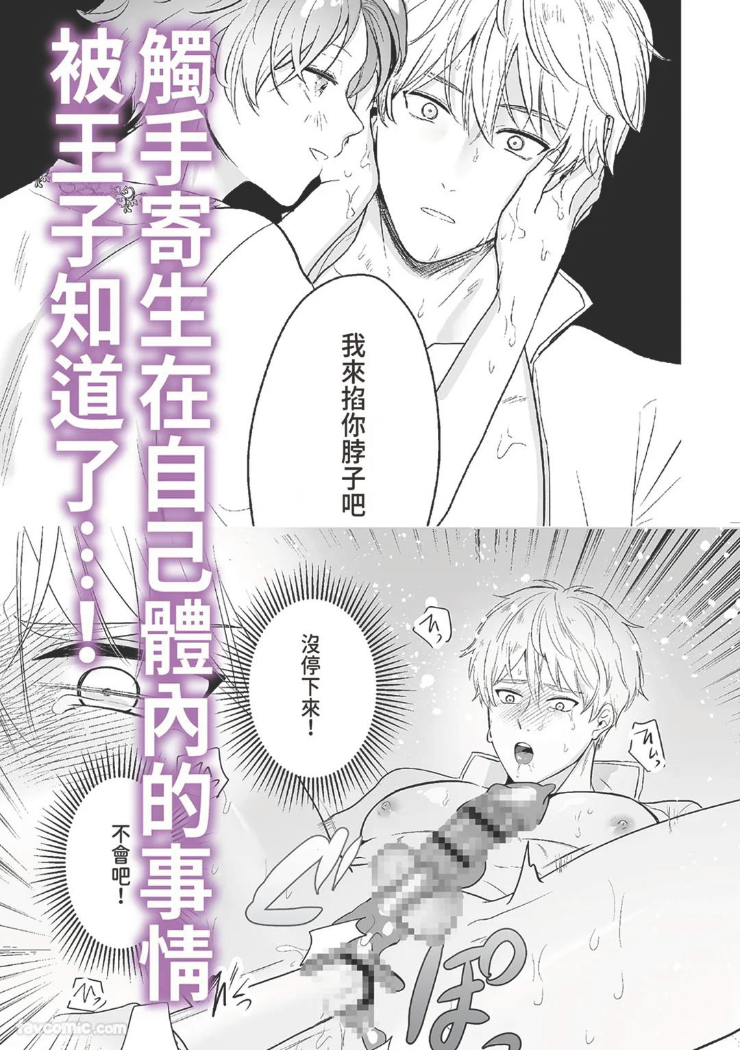 Knight Commander Series  The Knight Commander's Dilemma | Kishi Danchou no Katto page 2 full