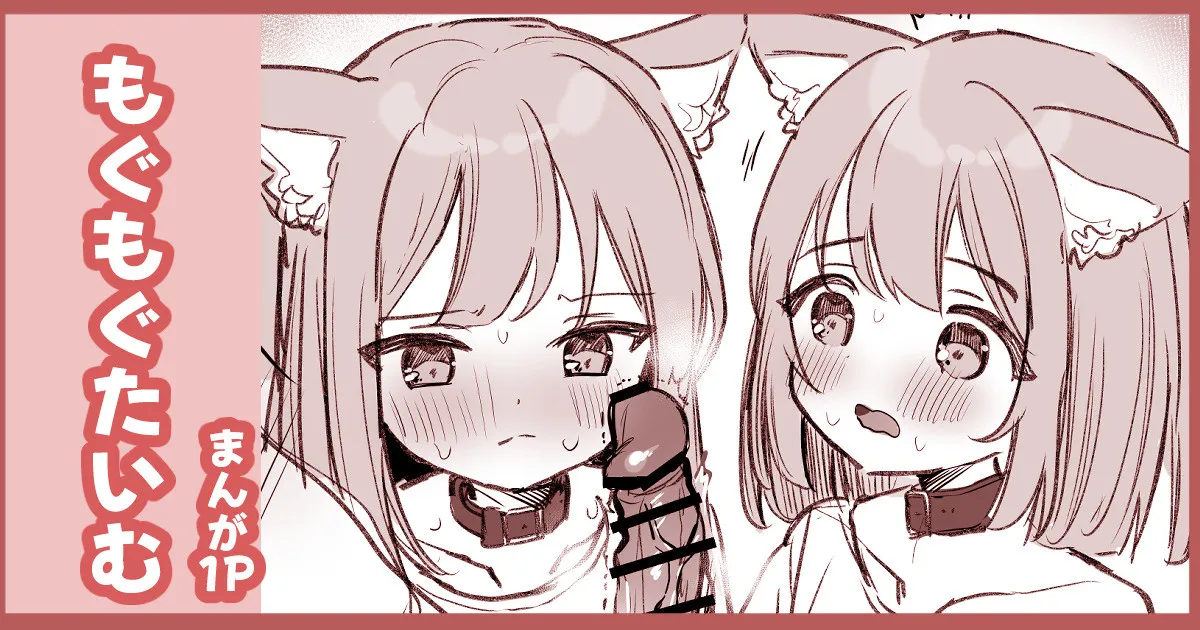 はつじょうにゃんこふたご page 1 full