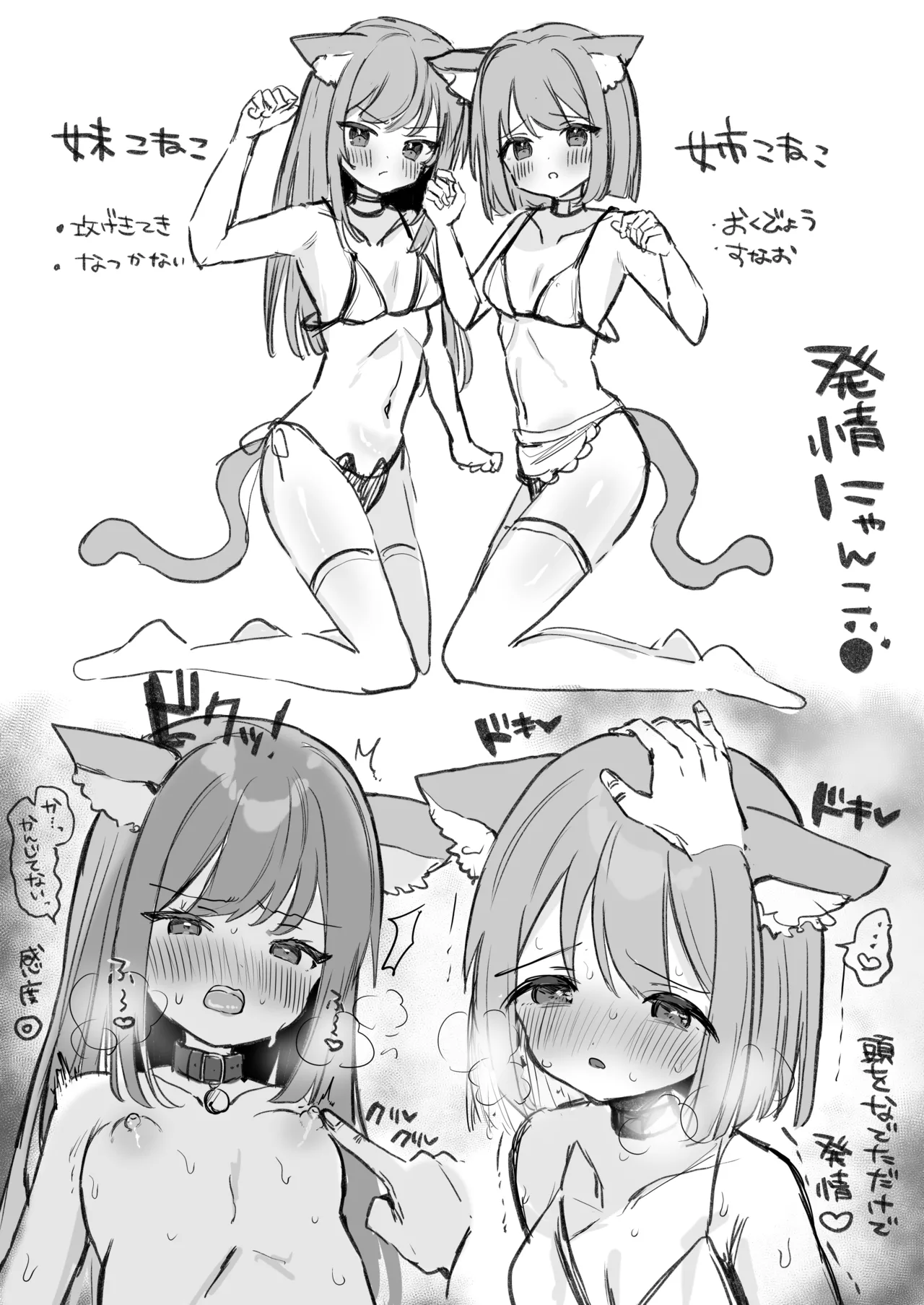 はつじょうにゃんこふたご page 3 full