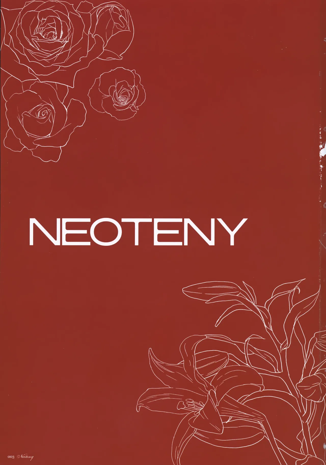 Natsu Matsuri ni Ike Nakatta Futari no Hanashi page 2 full