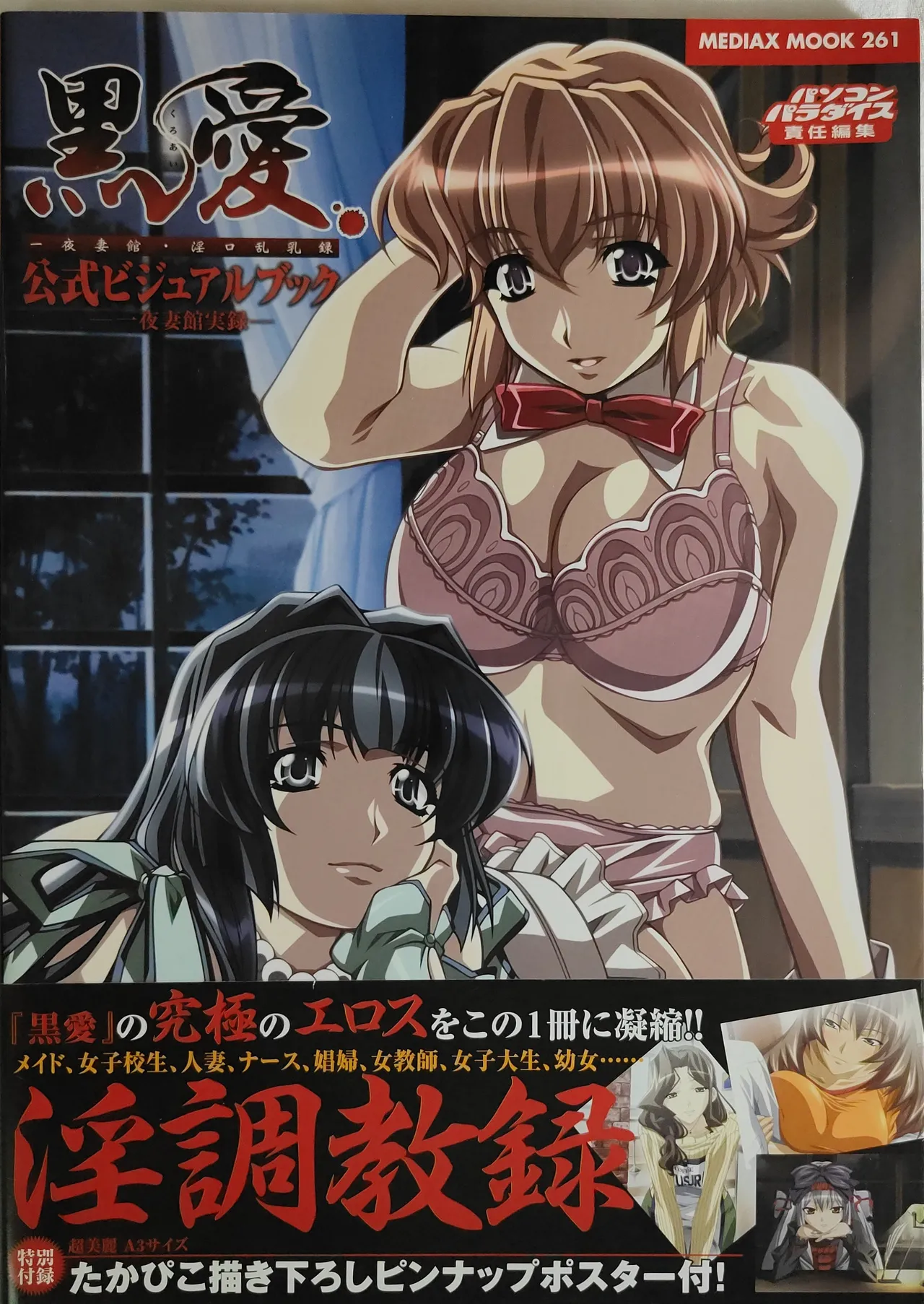 黒愛 公式ビジュアルファンブック 一夜妻館実録 page 1 full