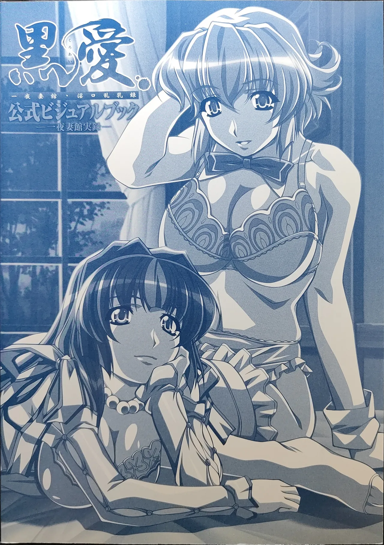 黒愛 公式ビジュアルファンブック 一夜妻館実録 page 5 full