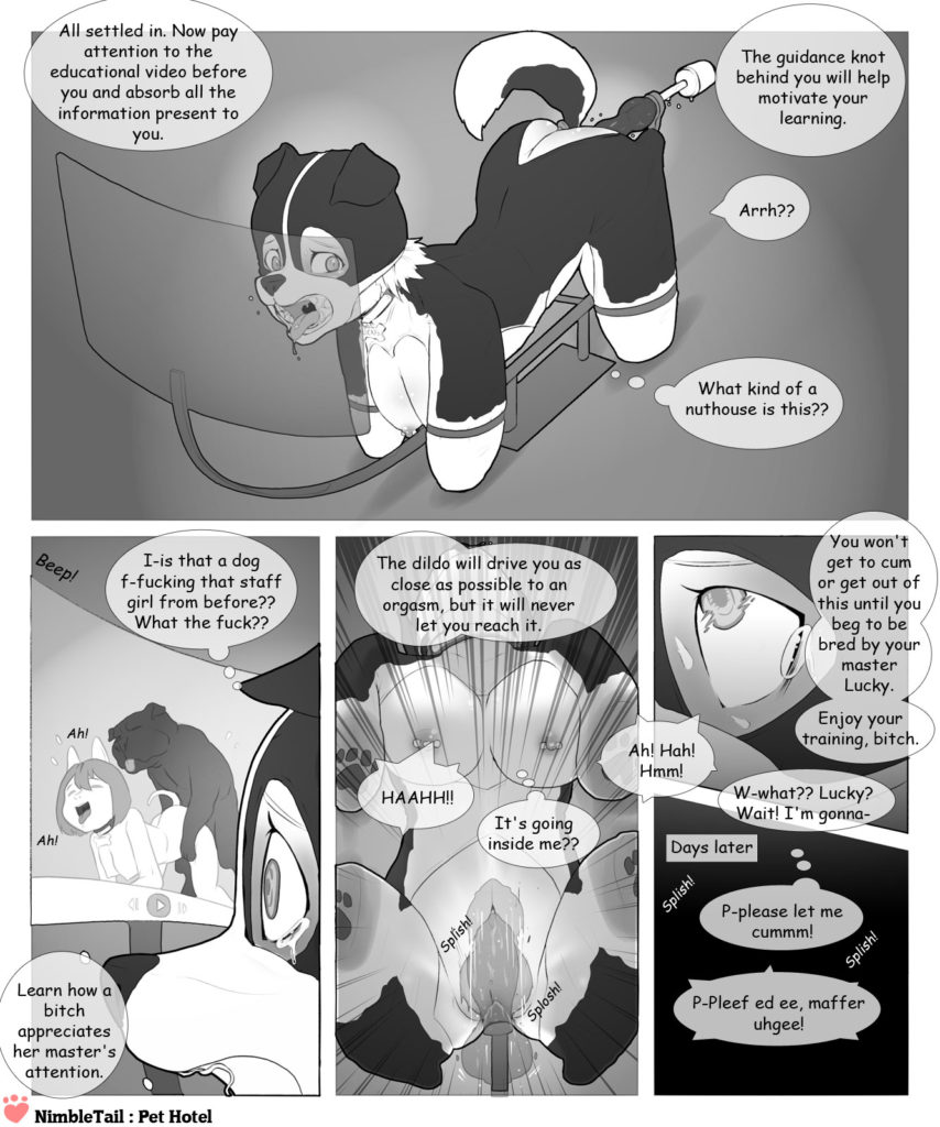 nimbletail Pet Hotel page 4 full