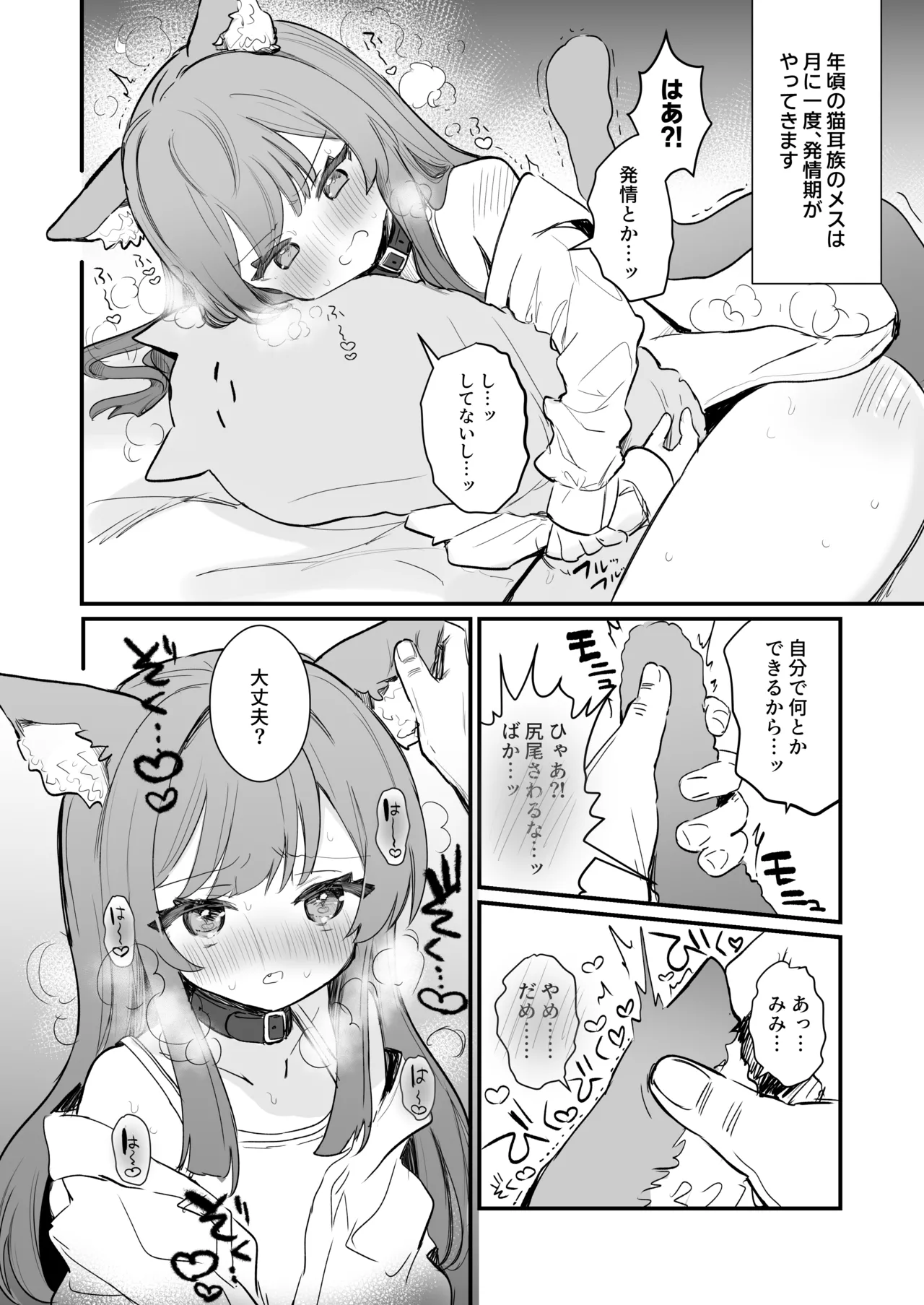 はつじょうきの処理 page 2 full