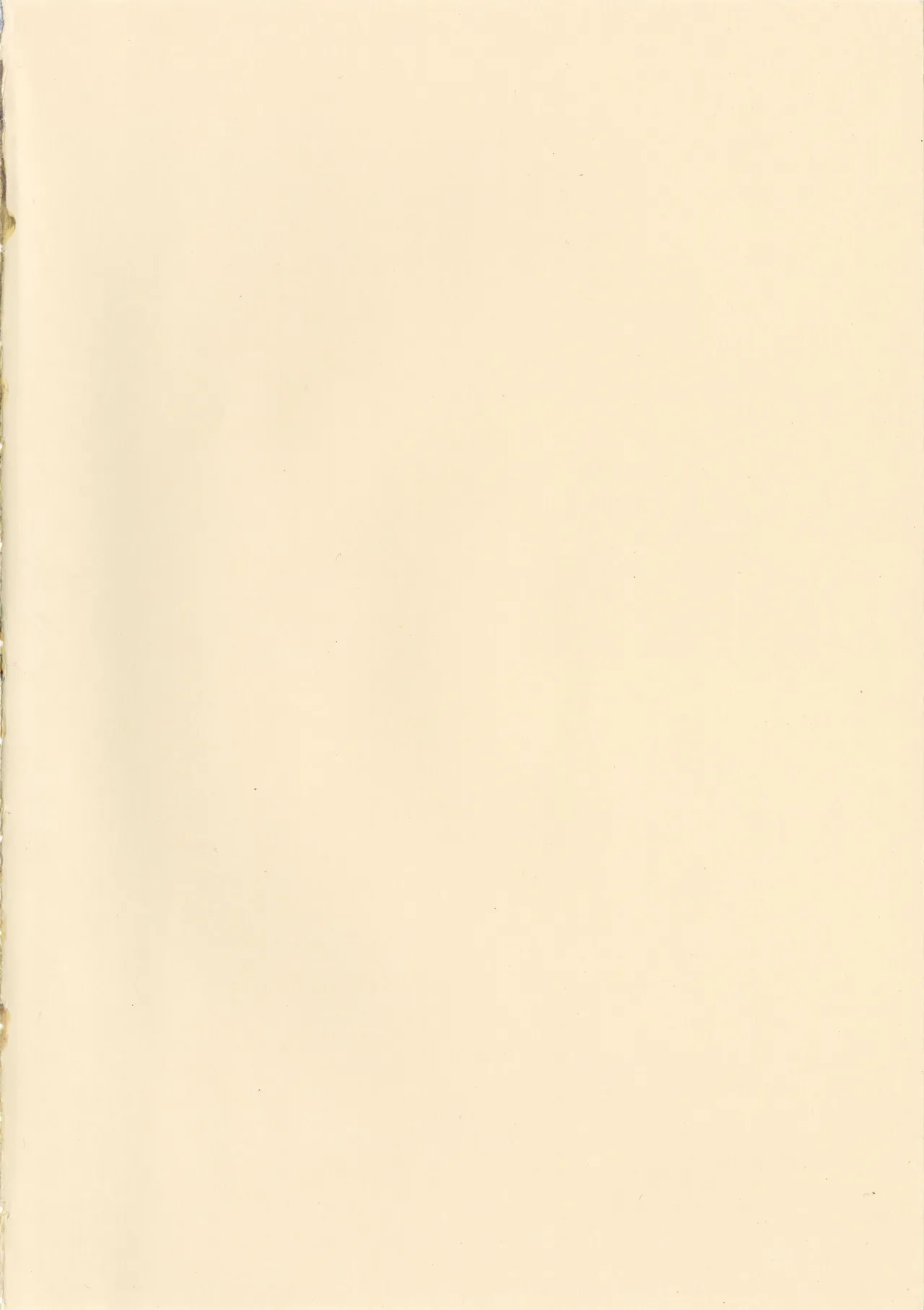 Touhou Shoujo page 4 full