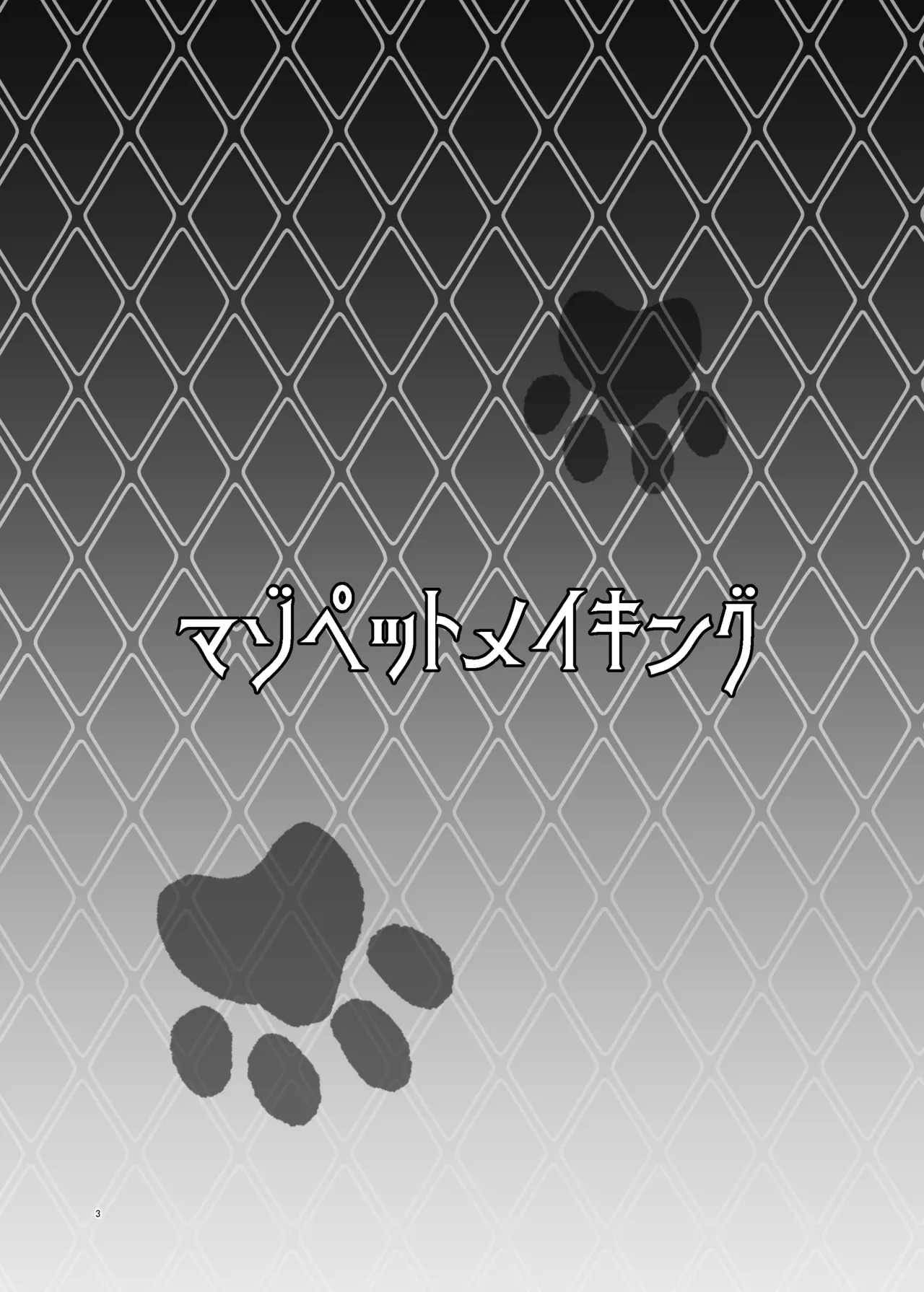 Maso Pet Making page 3 full