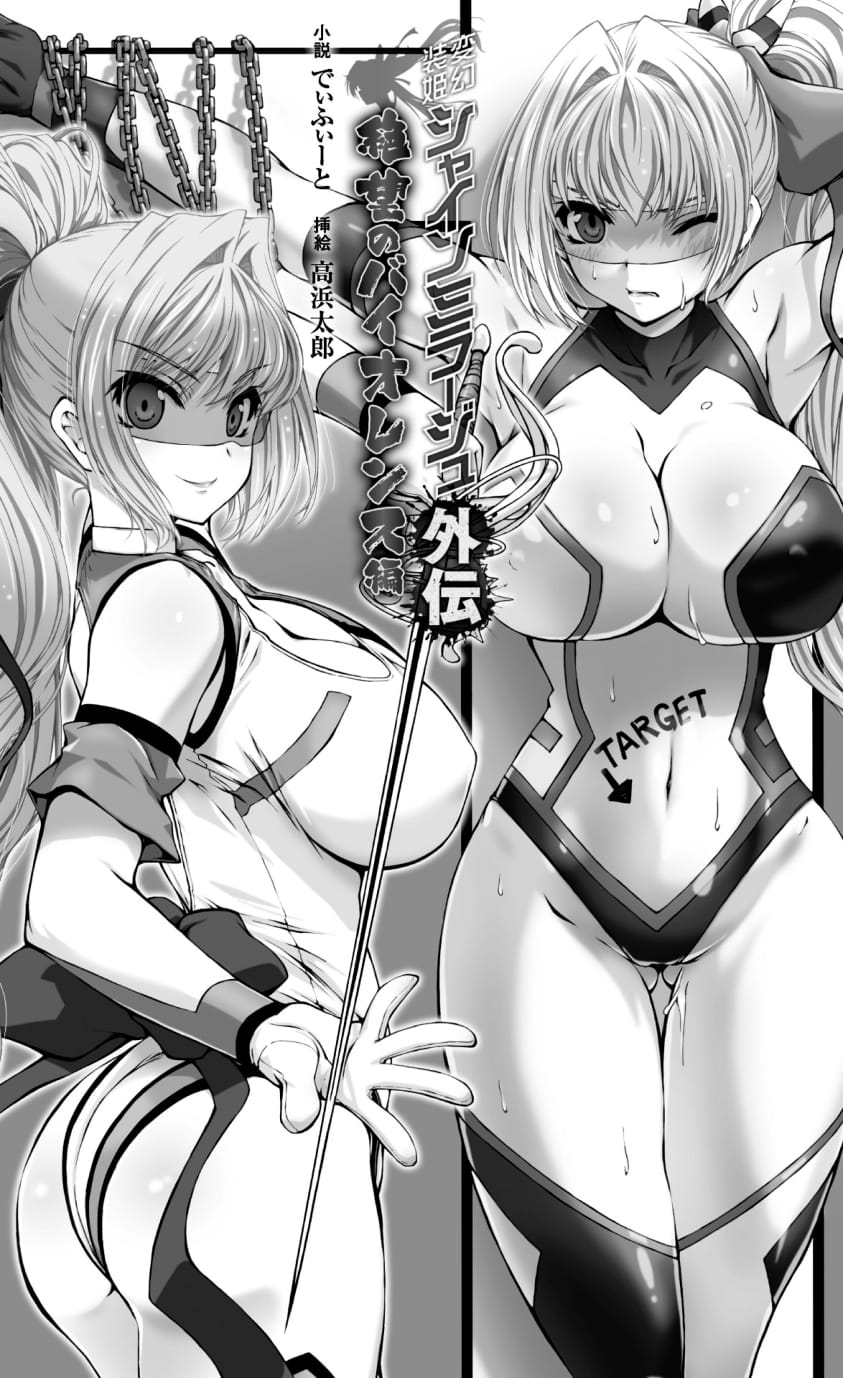 Hengen Souki Shine Mirage Gaiden The Desperate Violence  | 变幻装姬闪耀幻影 虐打外传 绝望的暴力篇 2025年重译版 page 7 full