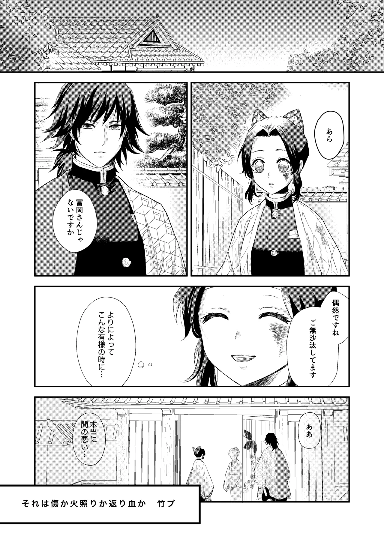 Sore wa Kizu ka Hoteri ka Kaeri Chi ka page 2 full