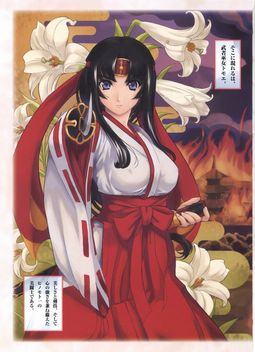 Queen's Blade Tomoe Collection page 9 full