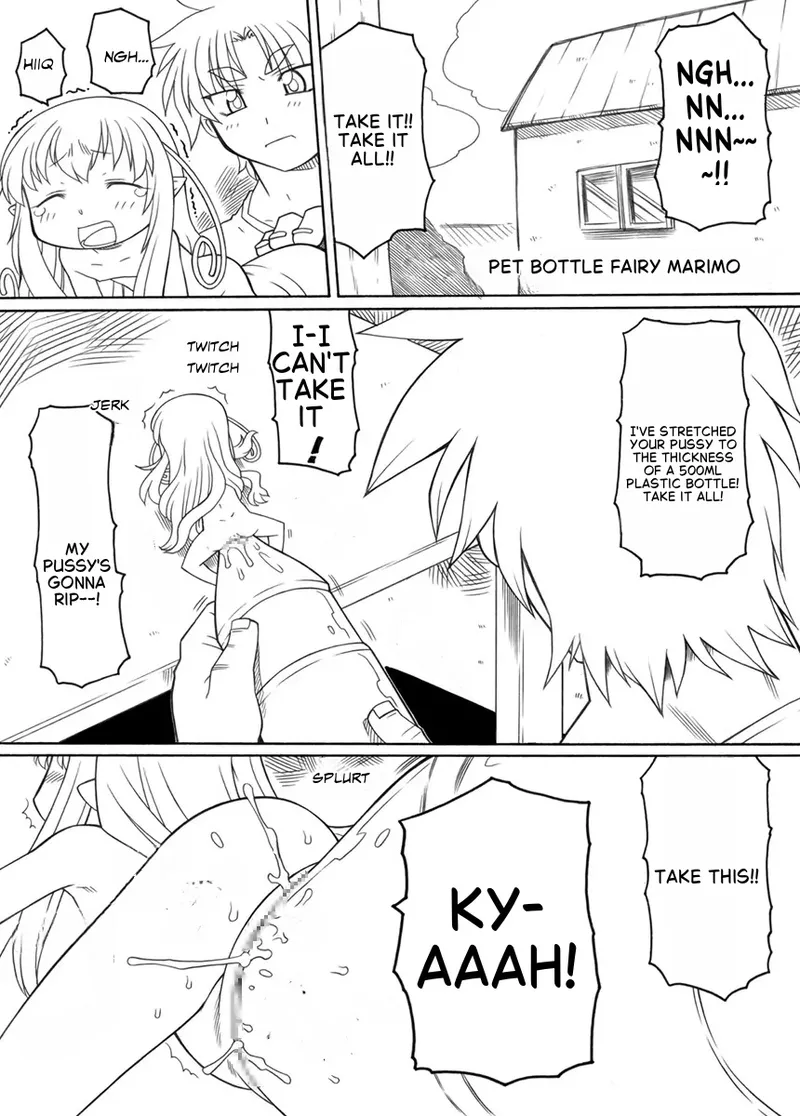PETbottle Fairy Marimo 2 page 2 full