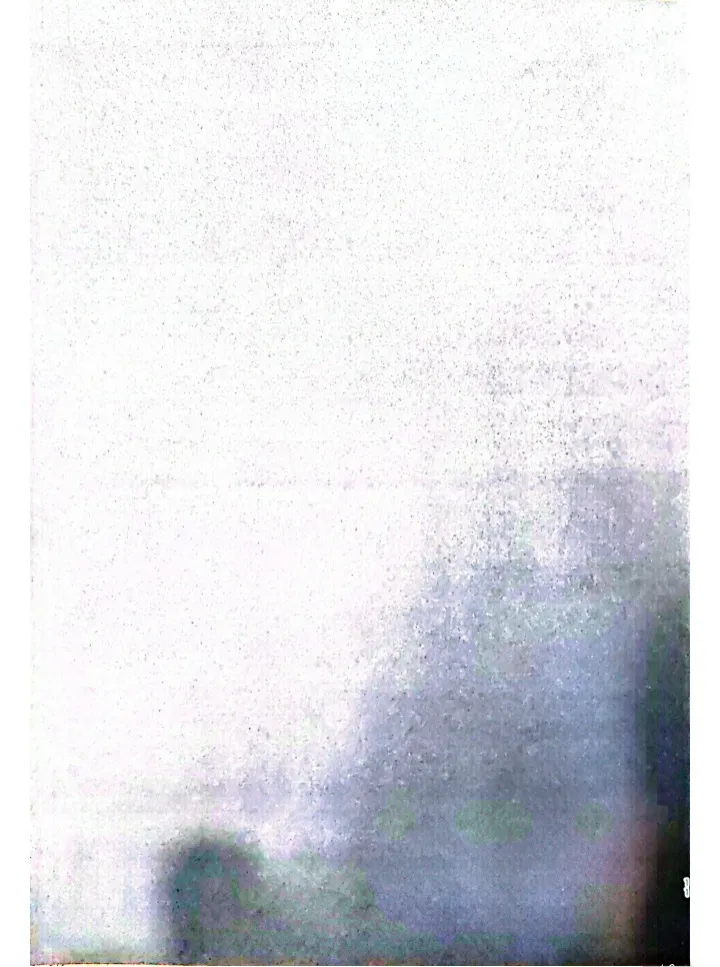 固执的野兽（崩坏：星穹铁道） page 10 full