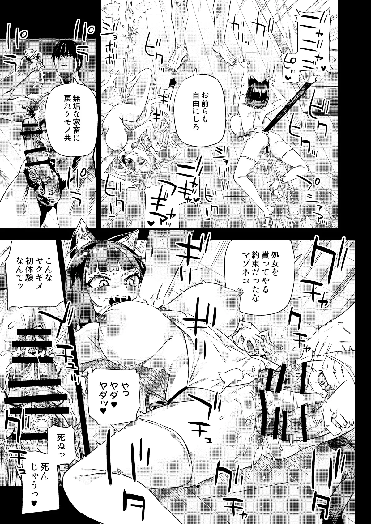猫族娘はヒトを飼う。 page 10 full