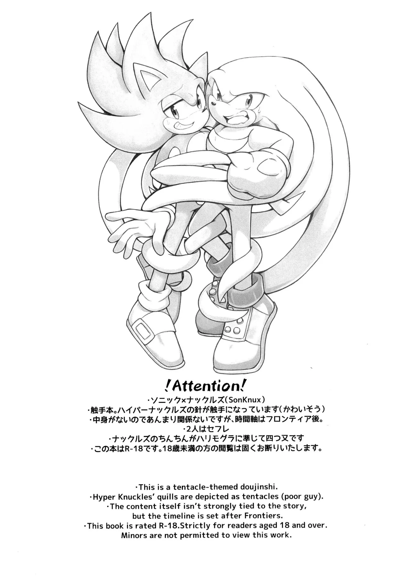 Bousou Quill Overflow! page 3 full