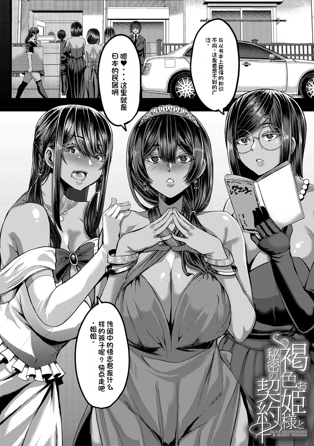 褐色姫と秘密の契約 page 4 full