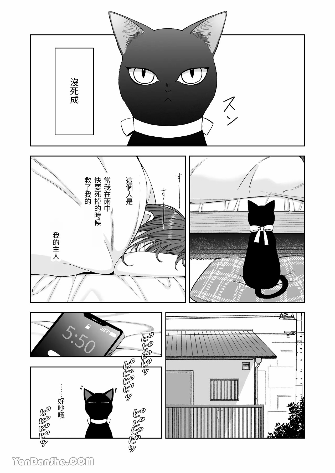 【丹下】黑貓小黑的報恩既笨拙又放肆 page 6 full