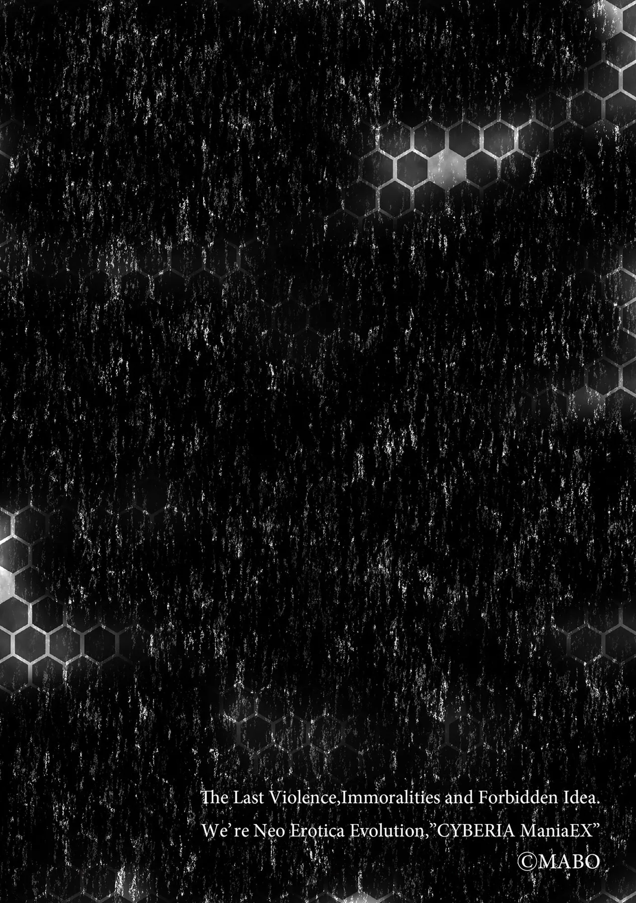 妻子的秘密:内衣篇 page 2 full