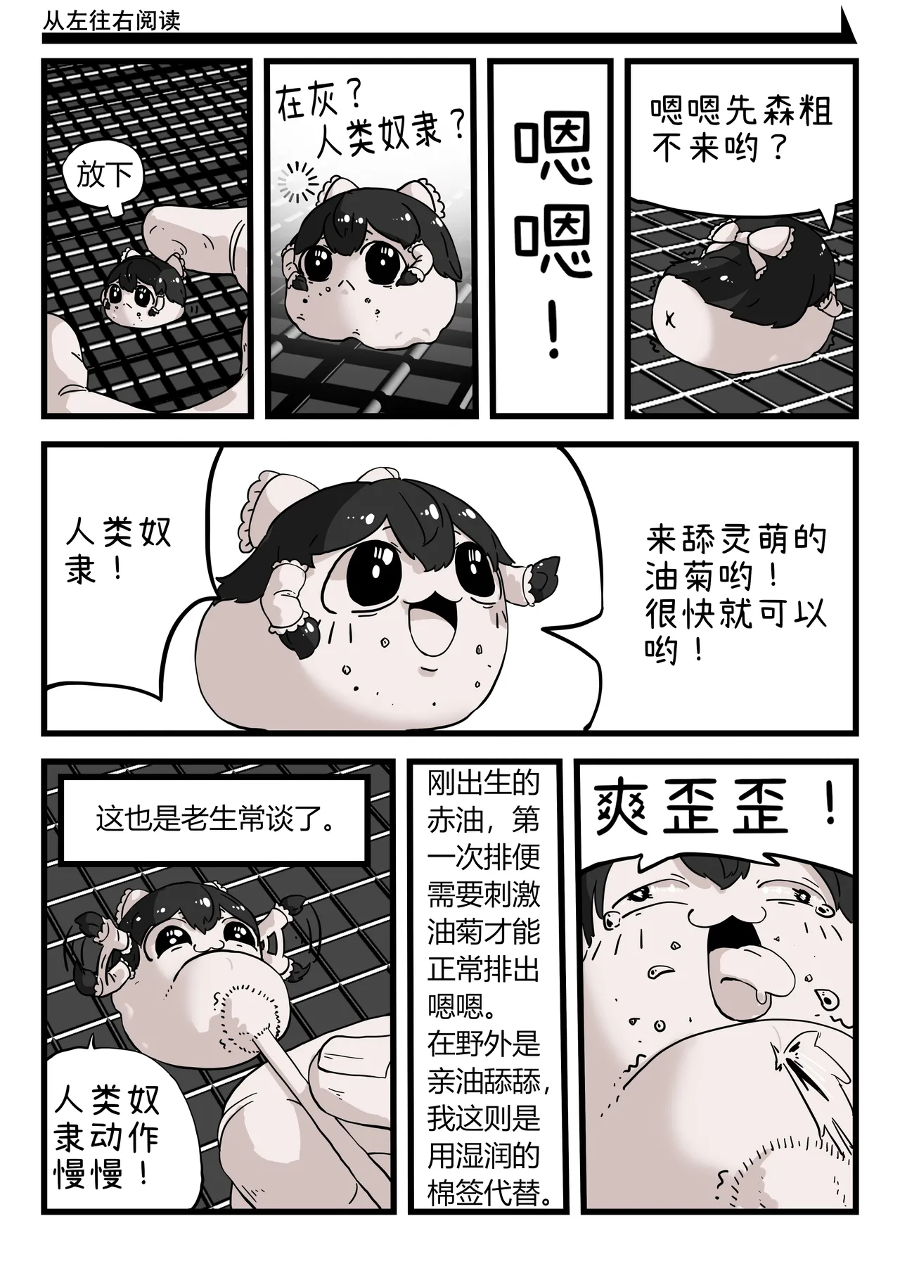 ［yukkuri］【zxy1147】简单饲养记录 page 8 full
