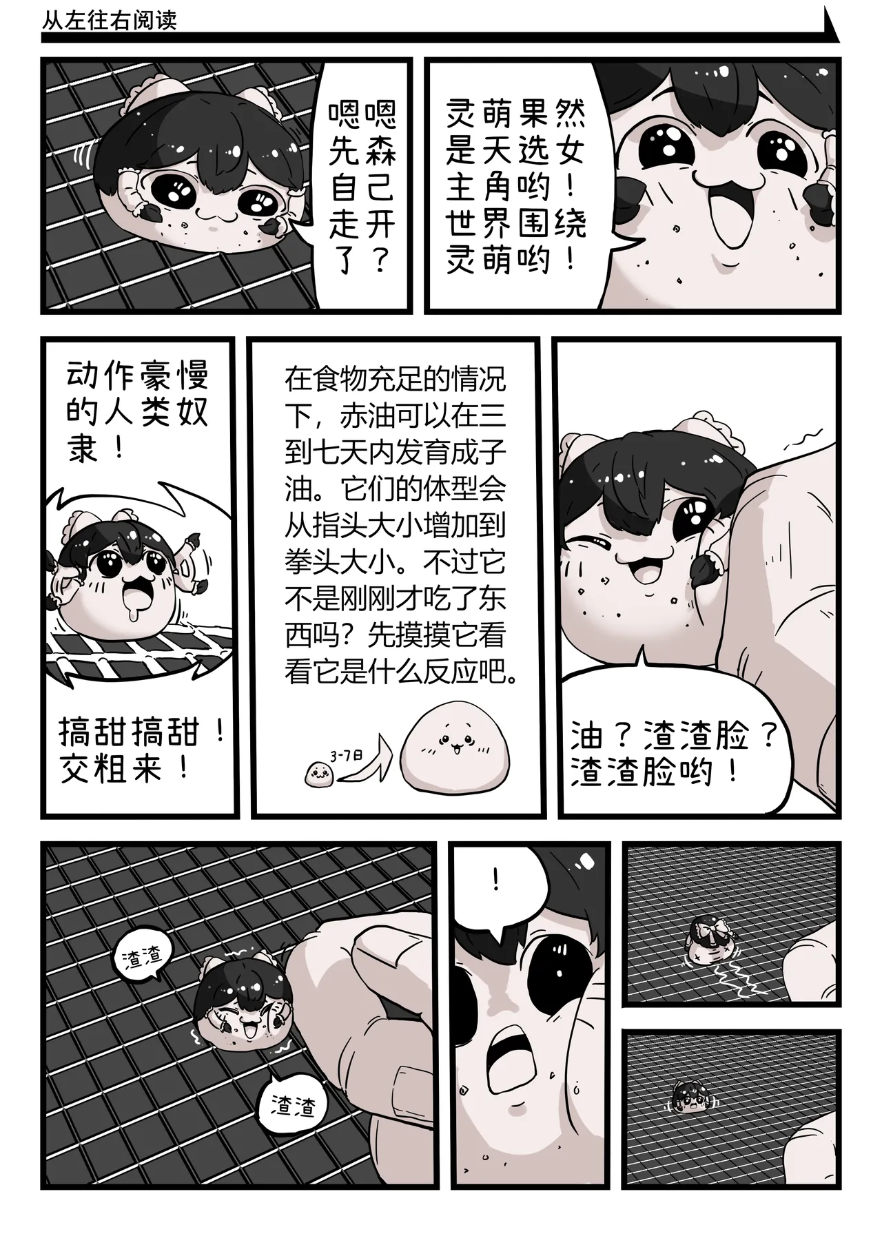 ［yukkuri］【zxy1147】简单饲养记录 page 9 full